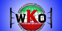  مسابقات قهرمانی کشور کیک بوکسینگ WKO در استایل هنرهای فردی